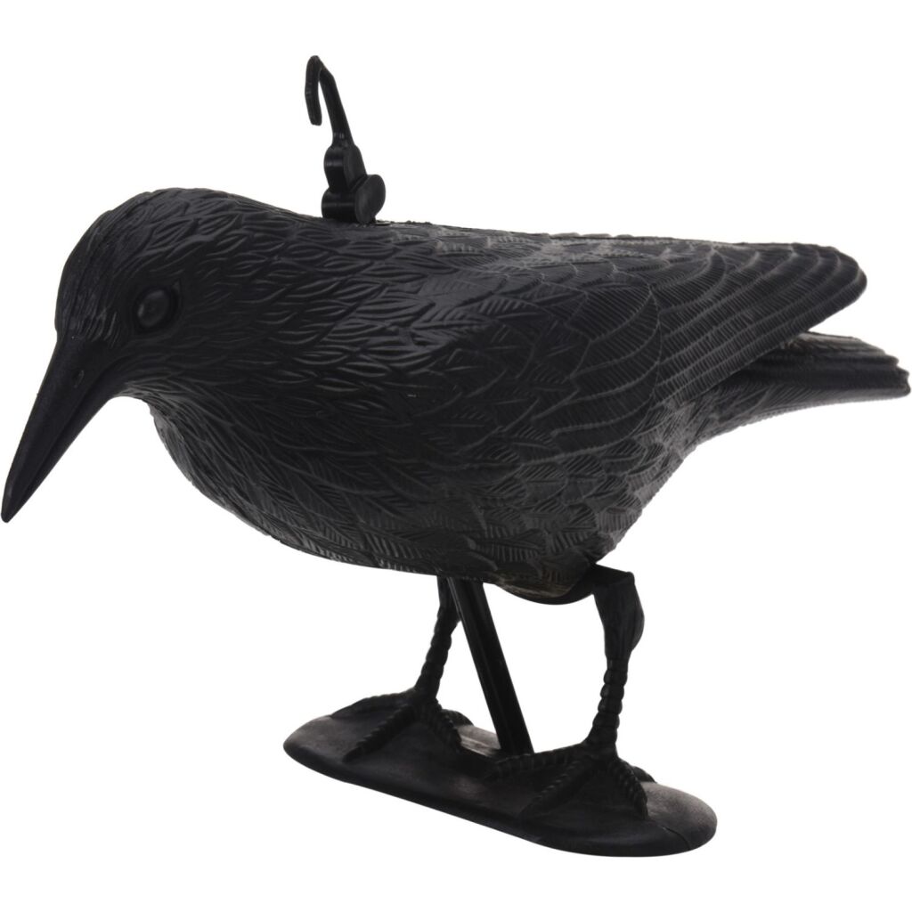 Pro Garden Vogelverschrikker Raaf 42.5x14x23.5 cm Zwart afbeelding