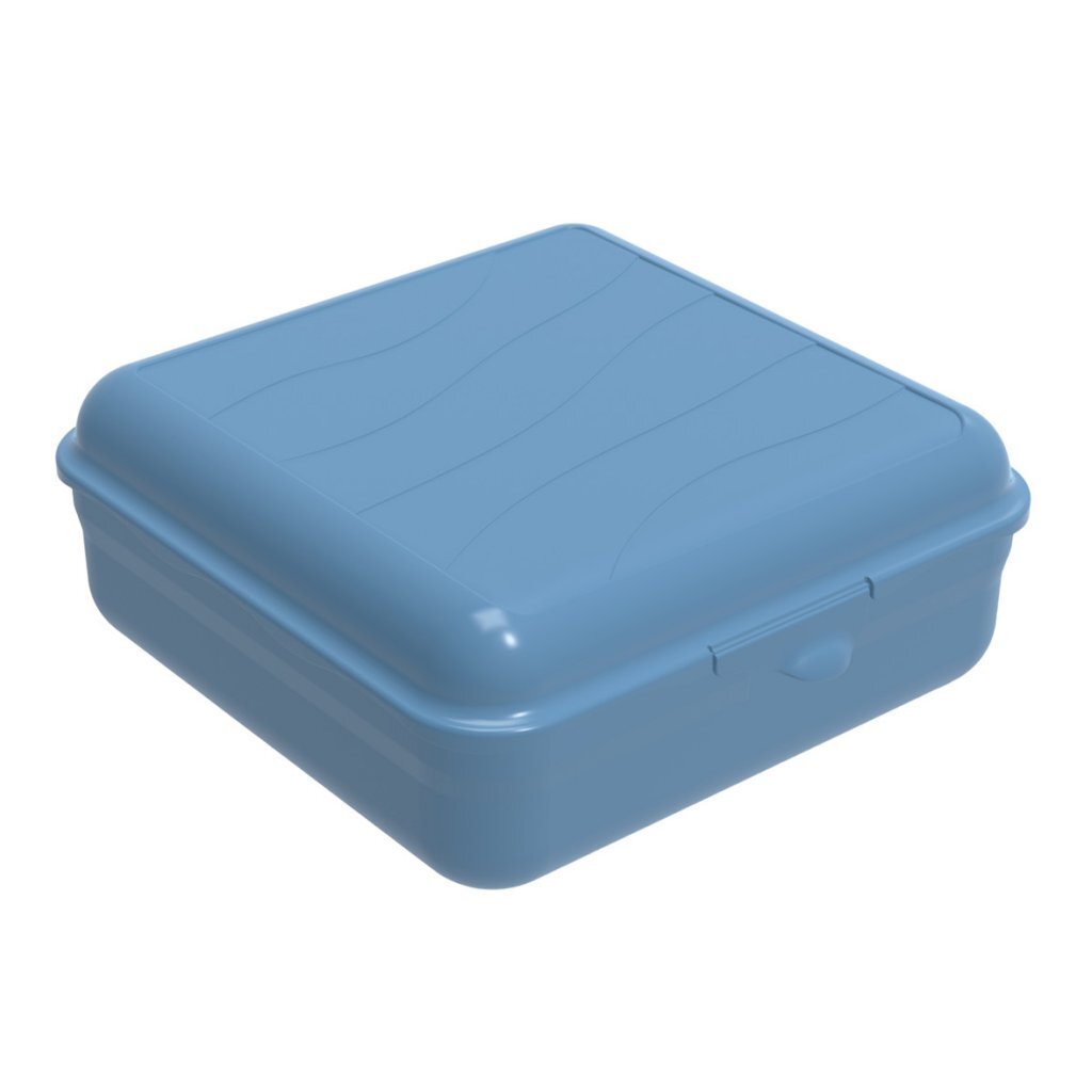 Rotho lunchbox FUN 2,35 l (20 x 20 x 8 cm) horizon blauw 2350 ml